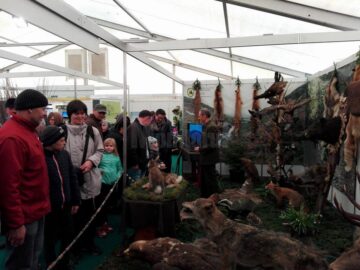 Standul cinegetic al Direcției Silvice Suceava de la Târgul Agro Expo Bucovina