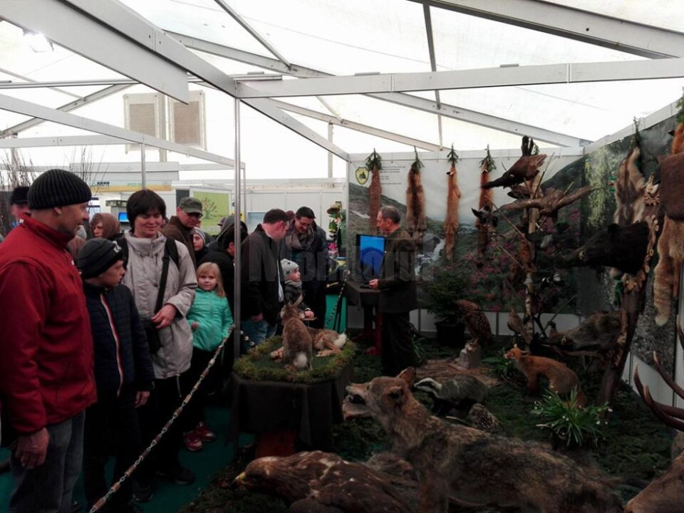 Standul cinegetic al Direcției Silvice Suceava de la Târgul Agro Expo Bucovina