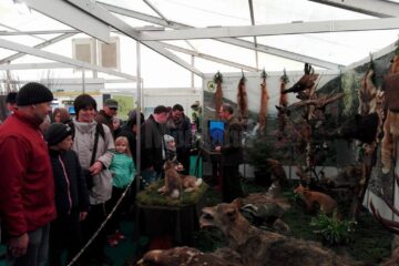 Standul cinegetic al Direcției Silvice Suceava de la Târgul Agro Expo Bucovina