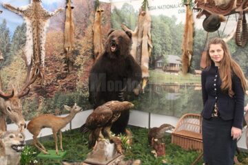 Standul cinegetic al Direcției Silvice Suceava, unul dintre principalele elemente de atracție la Agro Expo Bucovina
