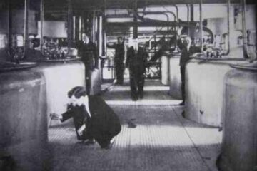 „Fabrica de spirt din Rădăuți”