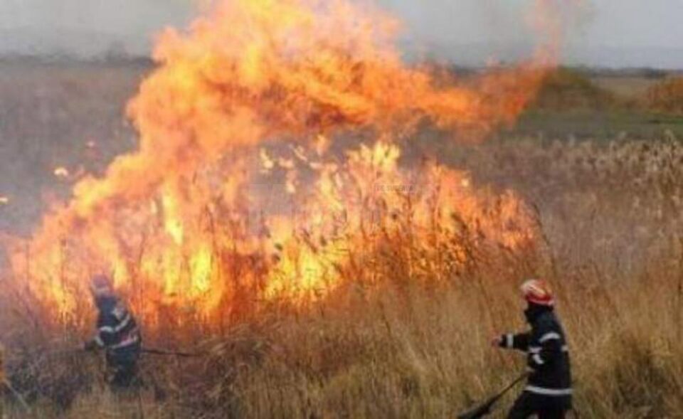 Patru incendii de vegetație uscată produse în câteva ore le-au dat bătăi de cap pompierilor Patru incendii de vegetație uscată produse în câteva ore le-au dat bătăi de cap pompierilor