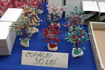 O incursiune în lumea fascinantă a pietrelor fine și a pietrelor prețioase, la Muzeul de Științele Naturii