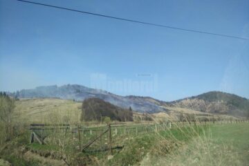 Incendiul care a cuprins 10 ha