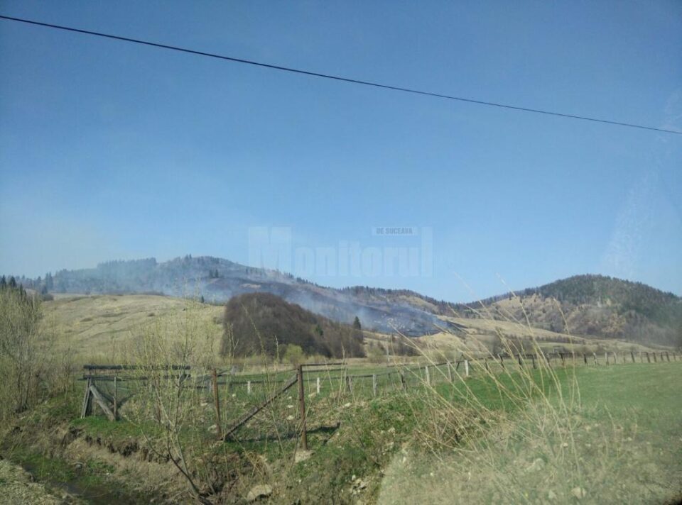 Incendiul care a cuprins 10 ha