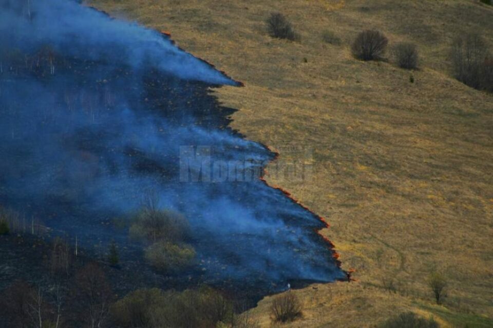 Incendiu de vegetație uscată