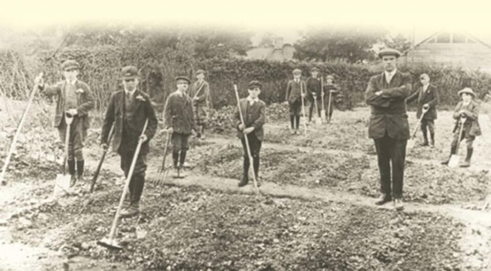 „Serbarea sădirii arborilor” „Serbarea sădirii arborilor”