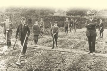 „Serbarea sădirii arborilor”