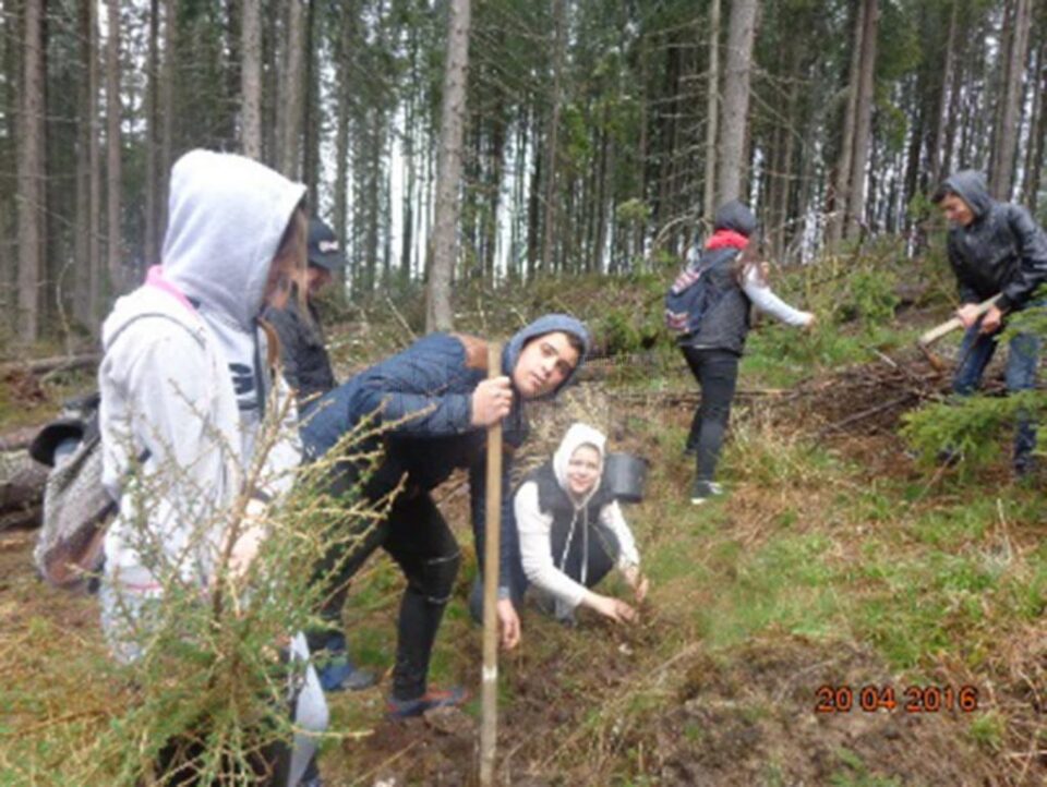 Acțiunea a avut loc la Sadova Acțiunea a avut loc la Sadova