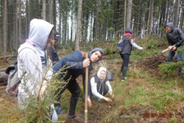Acțiunea a avut loc la Sadova