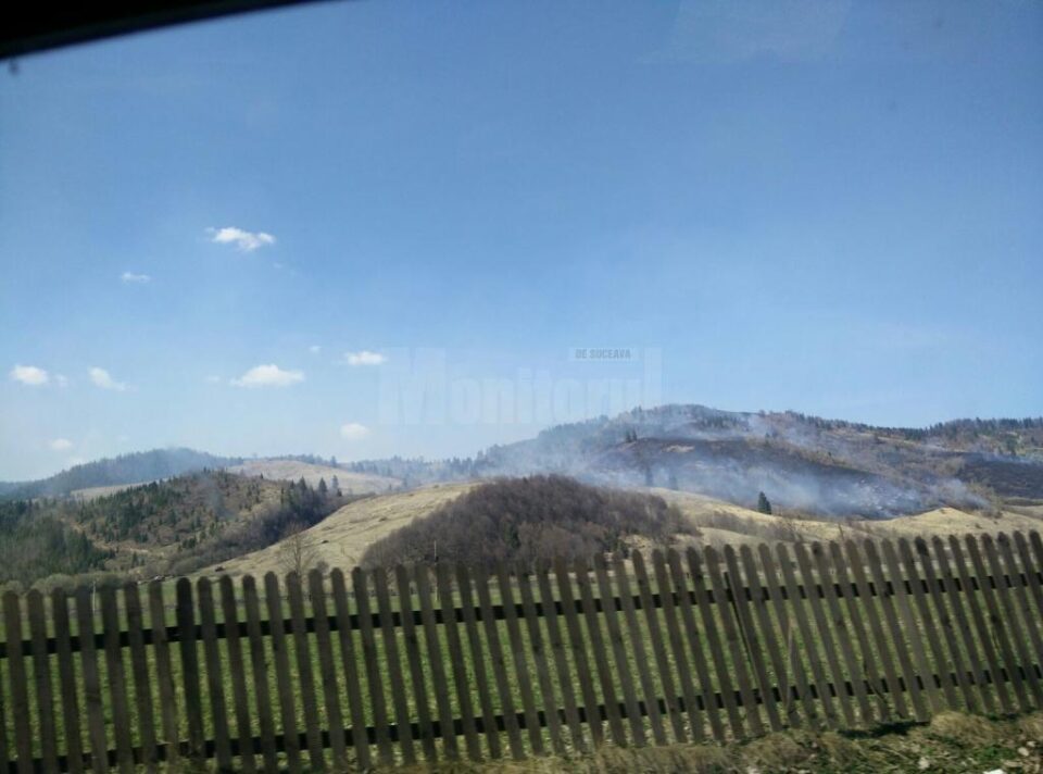 Incendiu de vegetație uscată