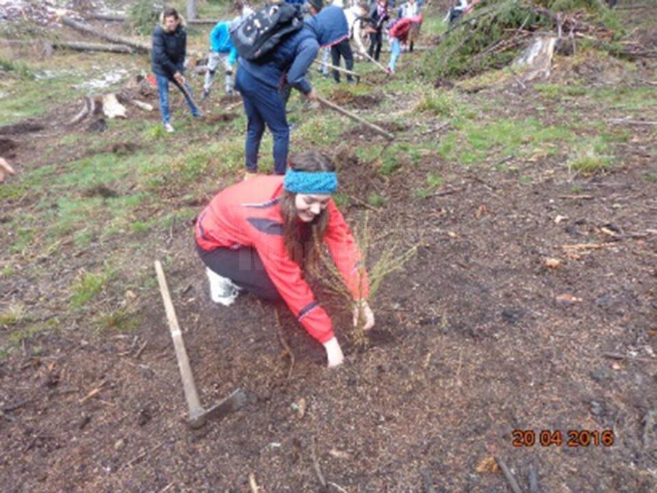 Acțiunea a avut loc la Sadova