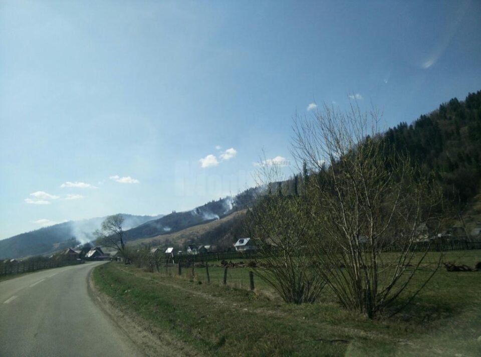 Incendiu de vegetație uscată