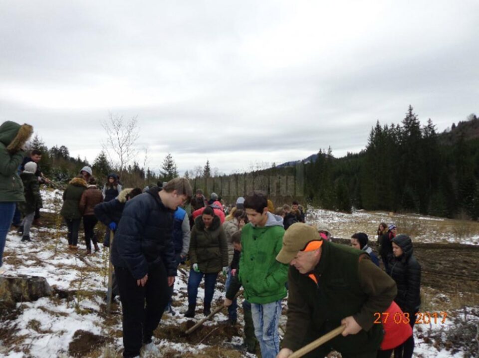 Acțiunea a avut loc la Sadova