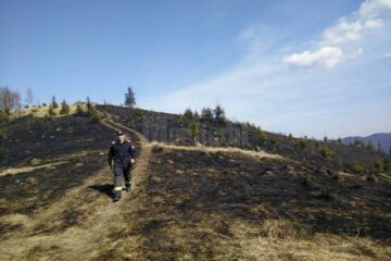 Incendiul a mistuit 20 de hectare de vegetație uscată și 10 hectare de pădure regenerată natural