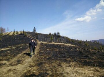 Incendiul a mistuit 20 de hectare de vegetație uscată și 10 hectare de pădure regenerată natural