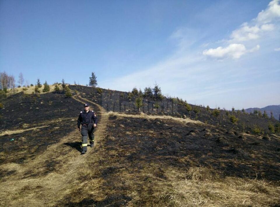 Incendiul a mistuit 20 de hectare de vegetație uscată și 10 hectare de pădure regenerată natural