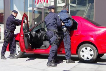 Câinii dresați, salvarea unui turist blocat pe un versant și armele automate, atracțiile exercițiului demonstrativ al jandarmilor suceveni