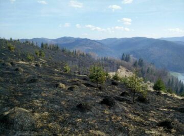 Mobilizare puternică pentru stingerea unui incendiu care a afectat 30 de hectare de pășune și pădure