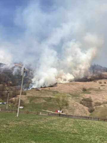 Mobilizare puternică pentru stingerea unui incendiu care a afectat 30 de hectare de pășune și pădure