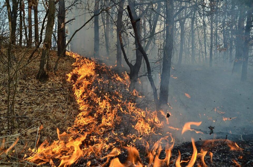 Incendiu de vegetație uscată