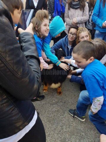 Activități diverse organizate de elevii de la Centrul Școlar pentru Educație Incluzivă, de Ziua Autismului