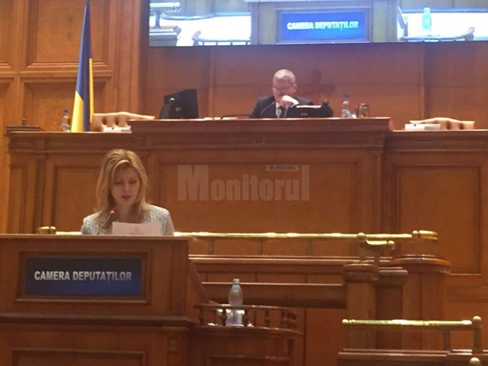 Maricela Cobuz a vorbit în Parlament despre efectele depresiei în rândul populației