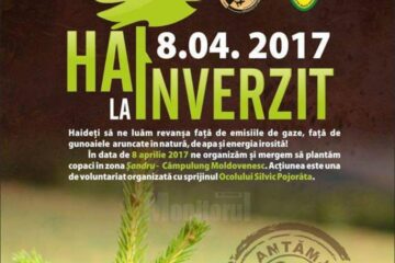 Campania de împădurire „Hai la înverzit!”