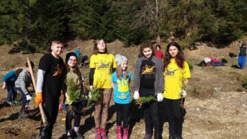 20.000 de brazi și molizi, plantați împreună cu voluntari, la Ocolul Silvic Vama
