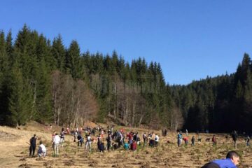 Acțiune de împădurire desfășurată sâmbătă la Ocolul Silvic Vama