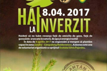 Campania de împădurire „Hai la înverzit!”, la a șaptea ediție