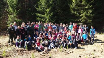 20.000 de brazi și molizi, plantați împreună cu voluntari, la Ocolul Silvic Vama