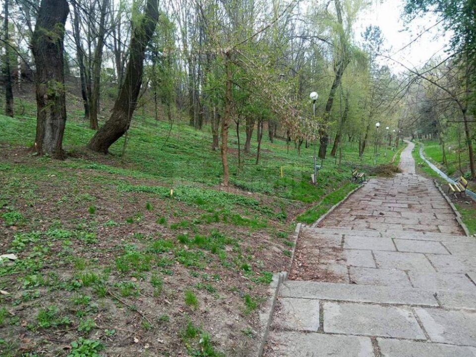 O amplă campanie de igienizare a Parcului Șipote va avea loc vineri dimineață