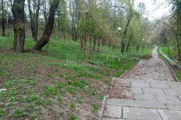 O amplă campanie de igienizare a Parcului Șipote va avea loc vineri dimineață