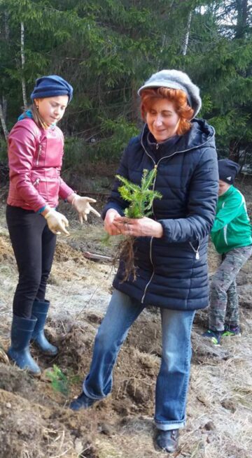 20.000 de brazi și molizi, plantați împreună cu voluntari, la Ocolul Silvic Vama