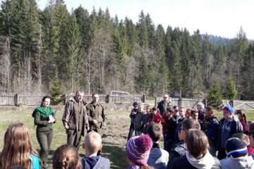 Elevii Școlii Gimnaziale Brodina au învățat de la silvicultori OS Falcău cum să planteze corect, dar și importanța pădurii