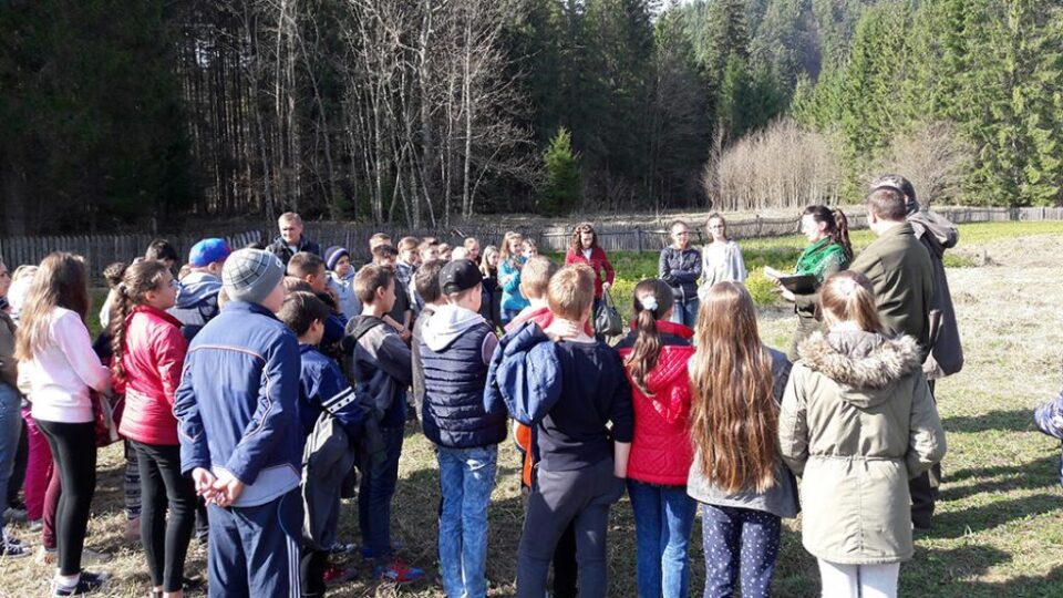 O viitoare pădure de molid, plantată de elevi, la Ocolul Silvic Falcău