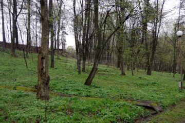 Parcul Șipote, după trecerea echipelor de igienizare