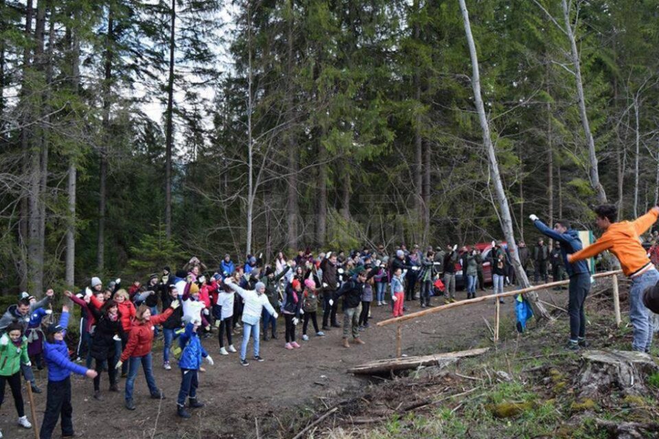 6.000 de puieți de brad și molid, plantați de voluntari în campania „Hai la înverzit!”