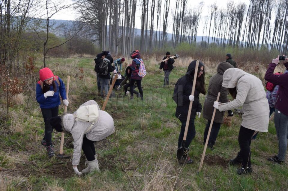Luna pădurii, marcată de elevi de la Colegiul Național "Petru Rareș"