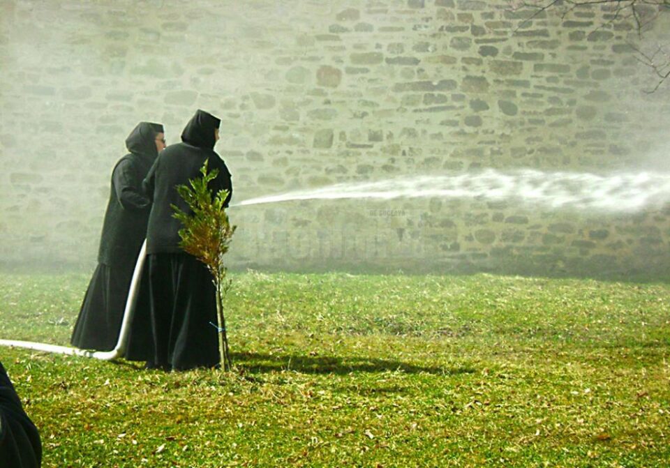 Activitățile de prevenire a incendiilor cuprind și simularea unor interveniții primare