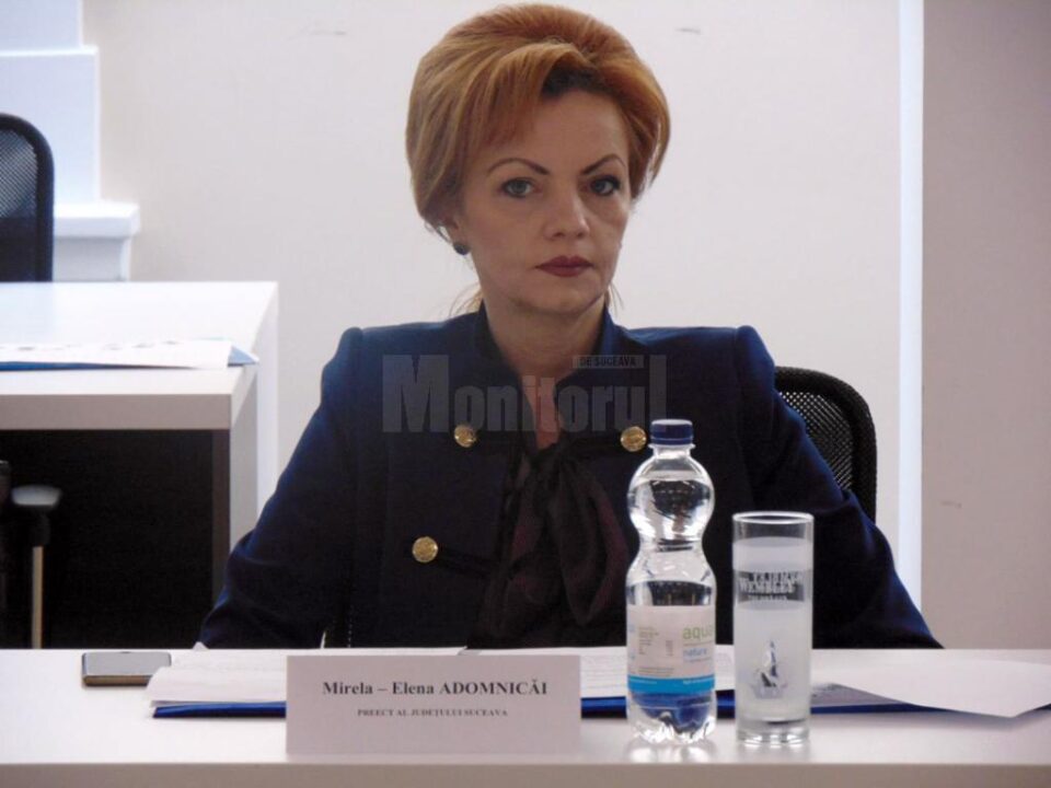 Prefectul de Suceava a participat la ședința comisiei pentru sprijinul minorității germane din România