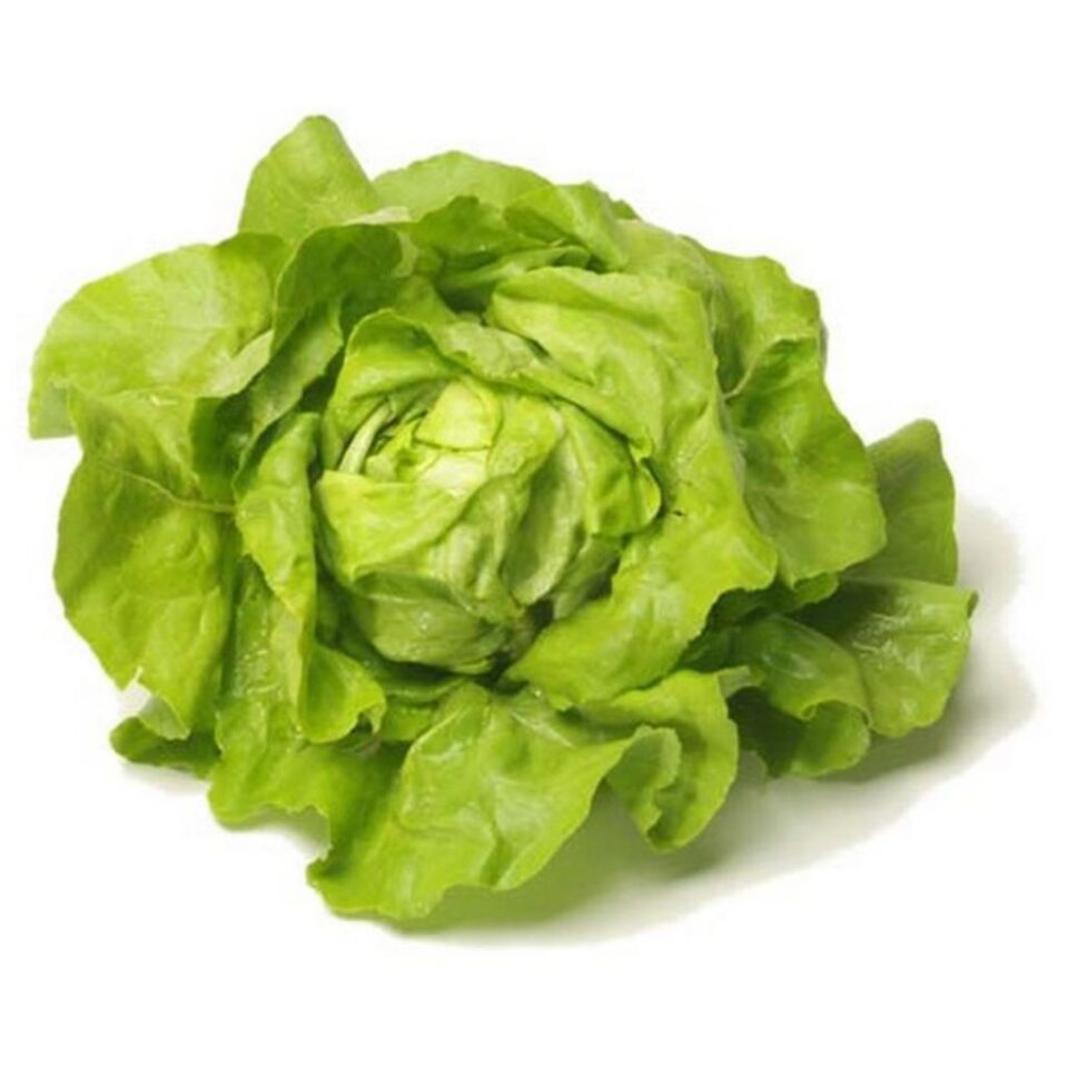 Mormane de salată, la Fălticeni