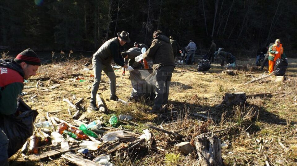 Acțiune de ecologizare
