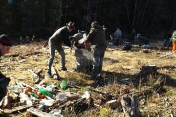 Acțiune de ecologizare