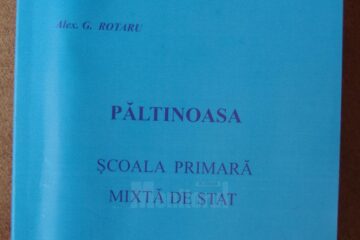 „Păltinoasa, Școala primară mixtă de stat”