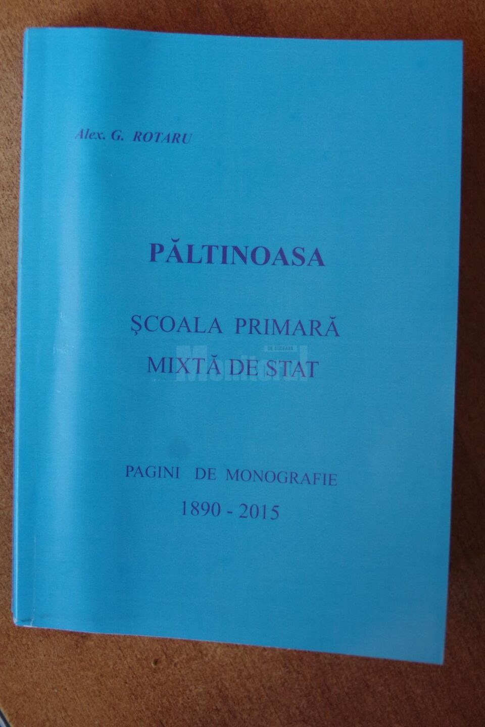 „Păltinoasa, Școala primară mixtă de stat”
