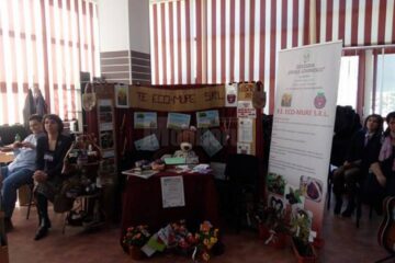 „Business Plan” – etapa regională Nord-Est