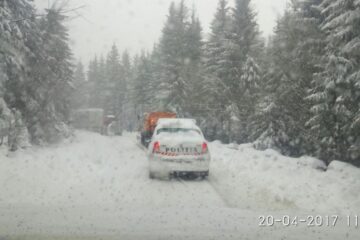 Peste 190 de polițiști au supravegheat joi traficul rutier