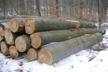 „Exploatarea fagului”